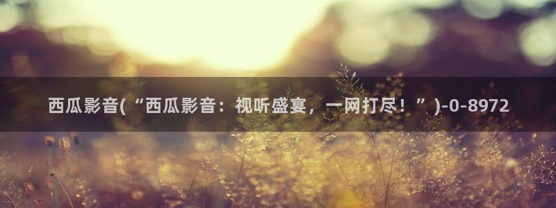 西瓜网私人影院