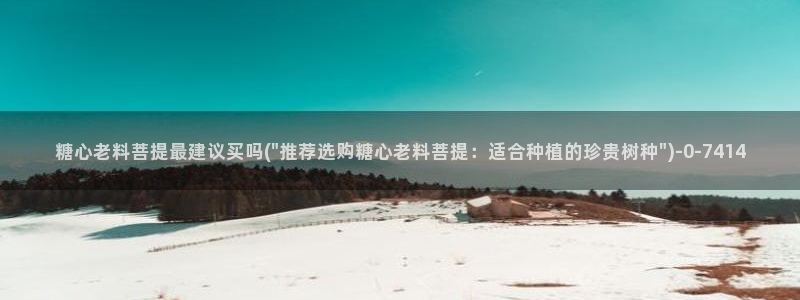糖心糖心vlog