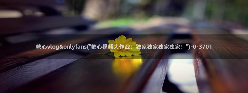 91麻豆糖心vlog出品淑怡