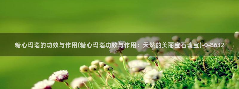 糖心vlog破