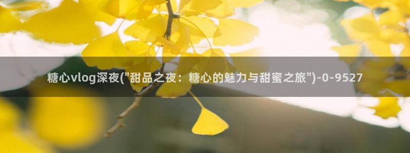 糖心短视频vlog下载：糖心vlog深夜(\