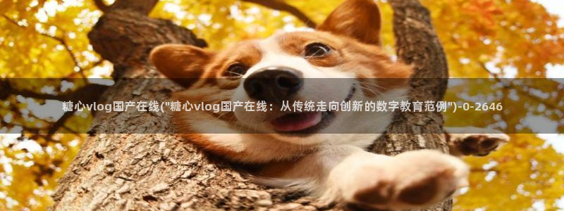 糖心vlog播放