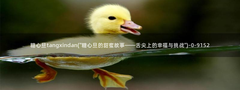 糖心视频vlog深夜释放自己：糖心旦tangxindan(\
