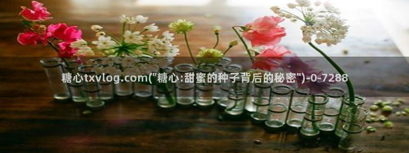 糖心vlog官网：糖心txvlog.com(\