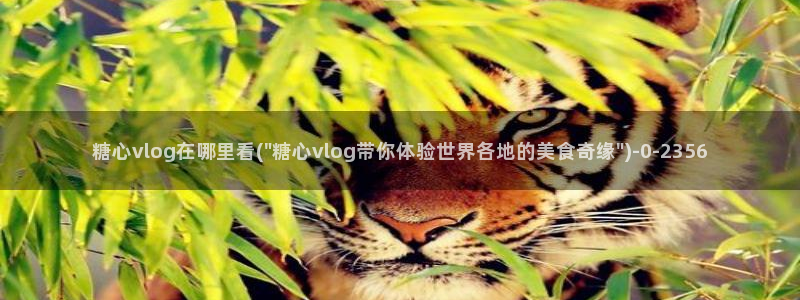 糖心vlog精产国品入口：糖心vlog在哪里看(\