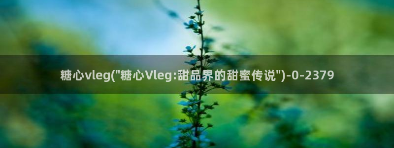 糖心传媒vlog：糖心vleg(\