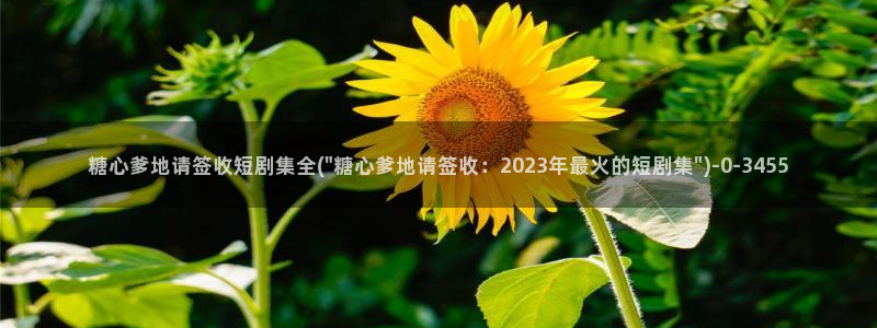 糖心vlo go：糖心爹地请签收短剧集全(\