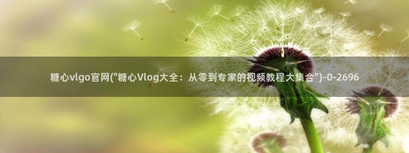 糖心vlog原创
